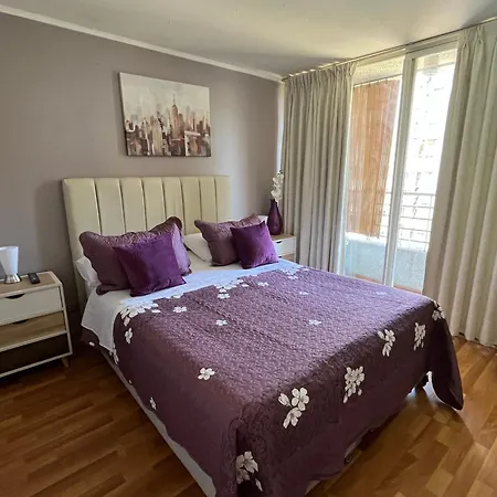 Amoblados Centro Apartment